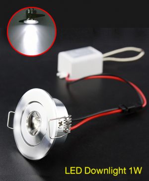 LED Downlight 1W
