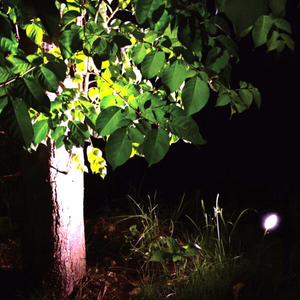 โคมไฟส่องต้นไม้ โคมไฟในสวน โคมไฟสนาม LED Garden light - Image 4