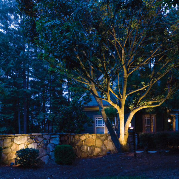 โคมไฟส่องต้นไม้ โคมไฟในสวน โคมไฟสนาม LED Garden light - Image 8