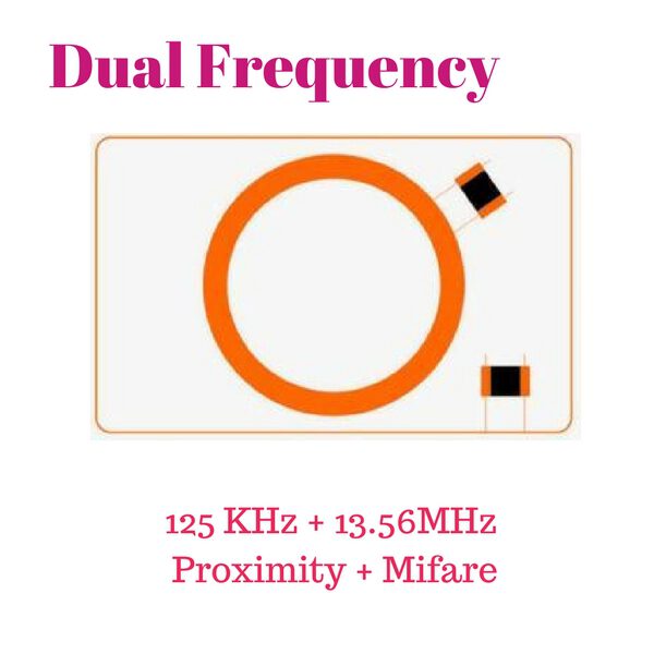บัตรสองความถี่ Dual-Frequency