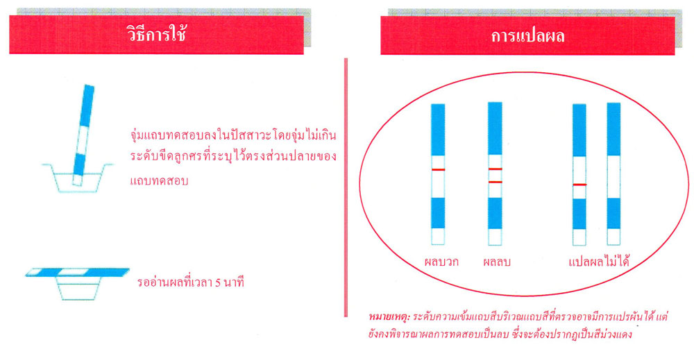 ชุดตรวจปัสสาวะ แบบจุ่ม2